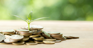 5 conseils pour choisir la bonne assurance vie
