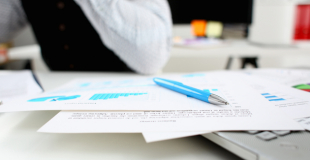Quels supports choisir pour son assurance vie ?