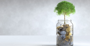 Comment retirer l’argent versé sur son PER ? Quelle procédure ?