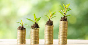 Investissement Socialement Responsable (ISR) : le dossier complet